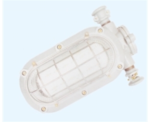 西藏矿用隔爆型LED支架灯